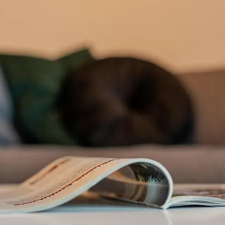 Vip Hetmanska * Жешув