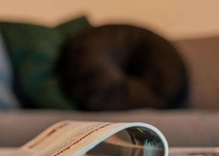 Vip Hetmanska * Rzeszów